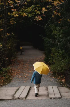 The Rain Umbrella - Rivie Mimosa^Business & Pleasure Co. New